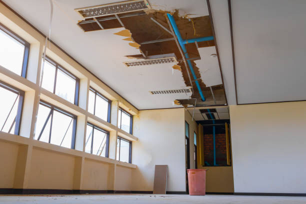 Best Local water damage restoration  in Arrowhead Beach, NC