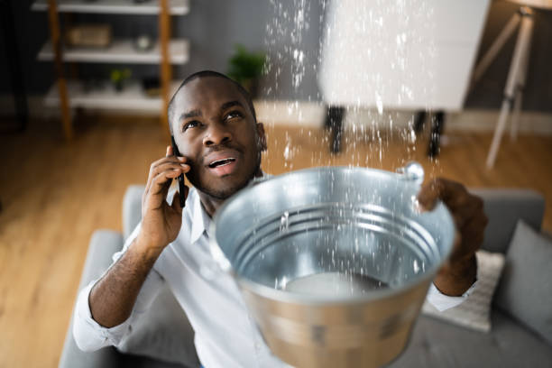 Best Mold removal after water damage  in Arrowhead Beach, NC