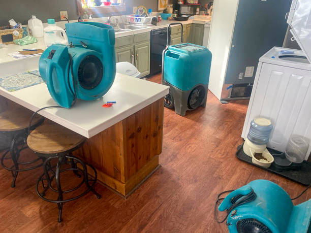 Best Water damage cleanup near me  in Arrowhead Beach, NC