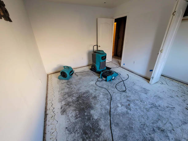 Best Local water damage restoration  in Arrowhead Beach, NC