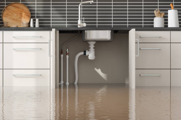 Best Professional water damage repair  in Arrowhead Beach, NC